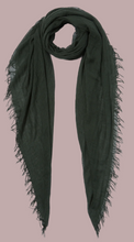Load image into Gallery viewer, Chan Luu- Cashmere and Silk Scarf