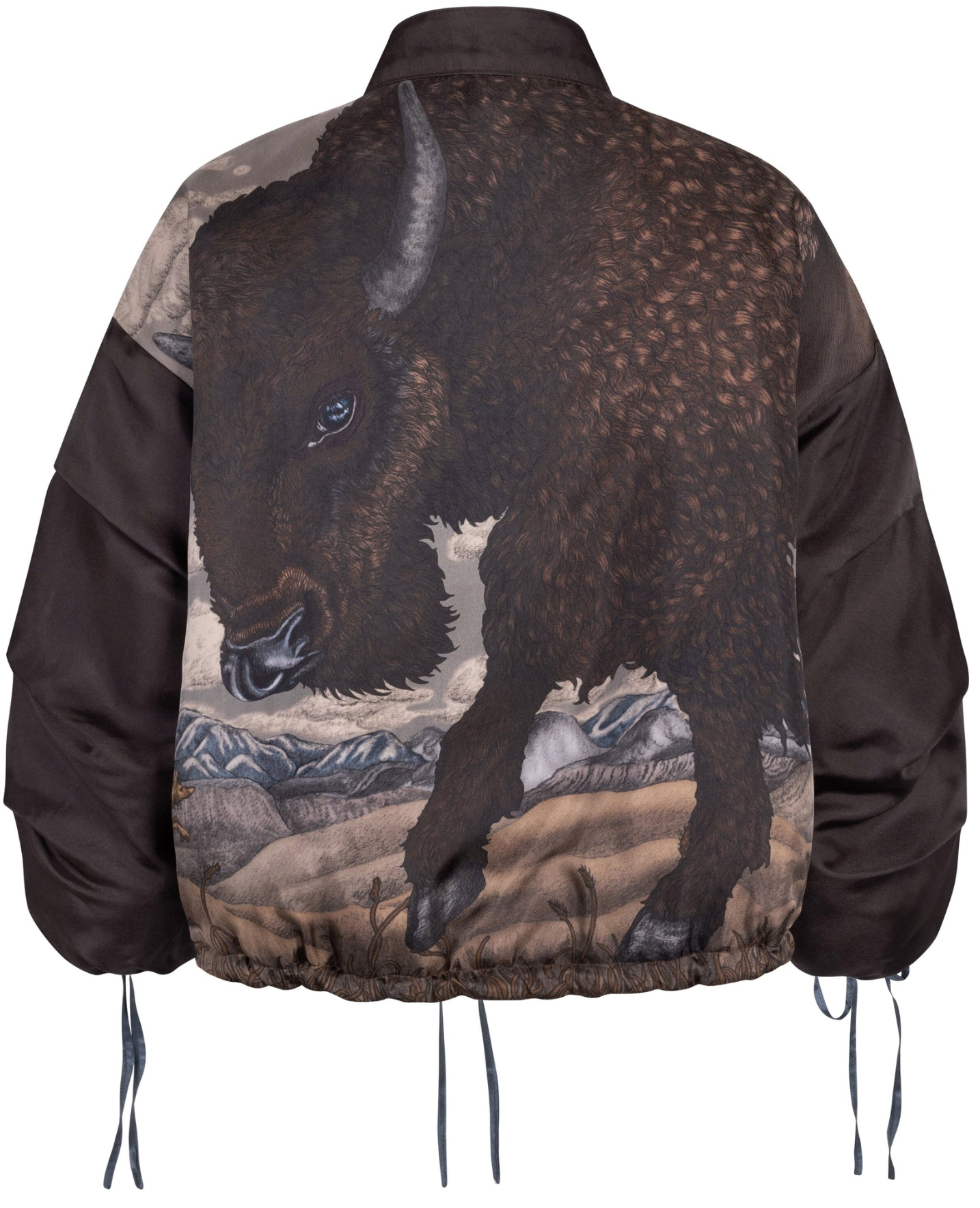 Sabina Savage- Secrets of the Bison Bomber