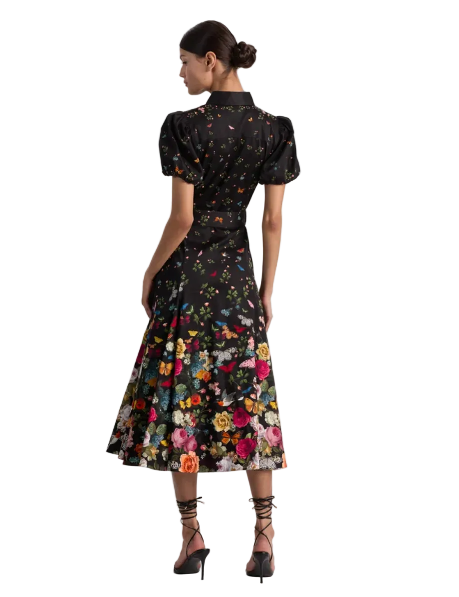 alice+olivia- Henrietta Midi Dress