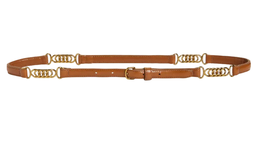 Frame- The Twisted Link Belt