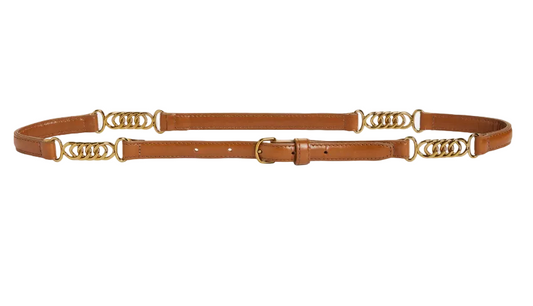 Frame- The Twisted Link Belt
