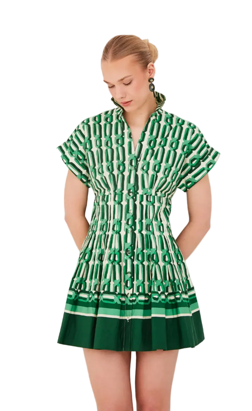 Cara Cara- Nash Mini Dress