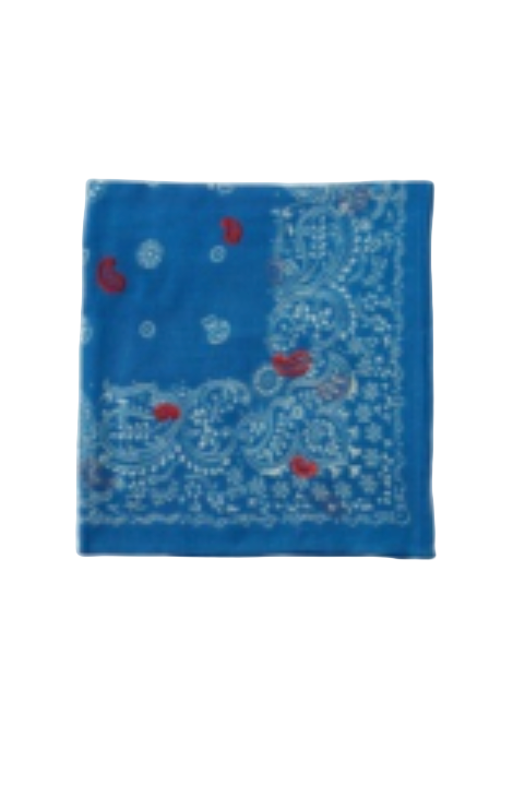 Chan Luu- Embroidered Bandana