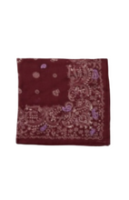 Load image into Gallery viewer, Chan Luu- Embroidered Bandana
